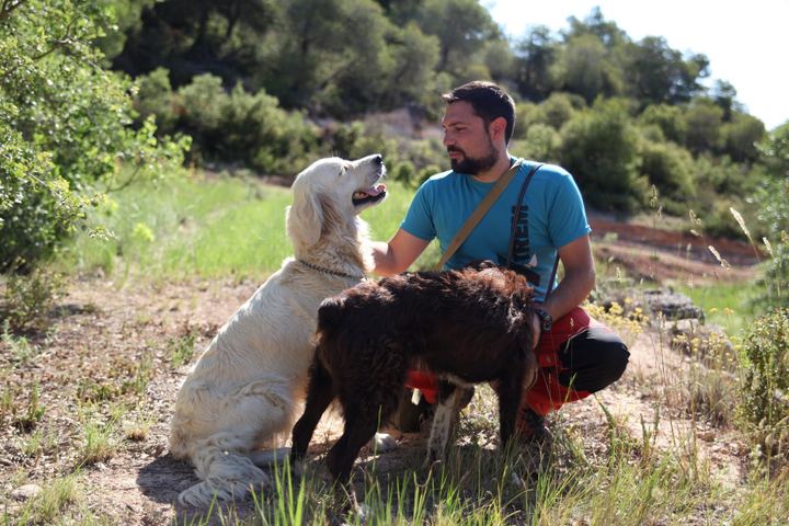 Tofonaire amb el seu gos golden a la plantació