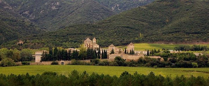 El Monestir de Poblet envoltat de vinyes i boscos