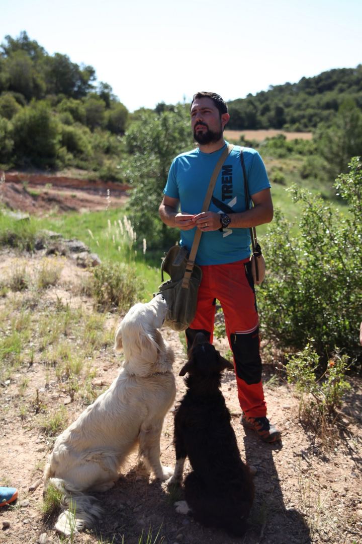Truffle hunter with his dogs in the orchard