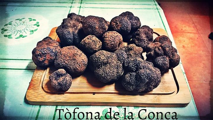 Esdeveniments de tòfona