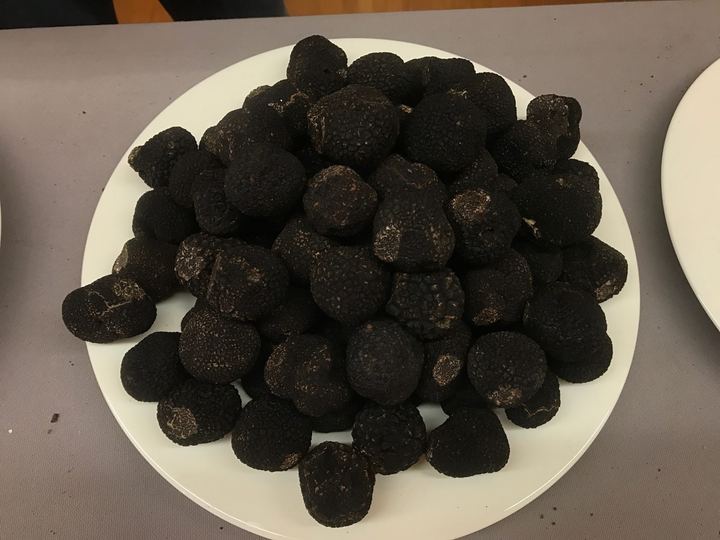 Tòfones de la Conca