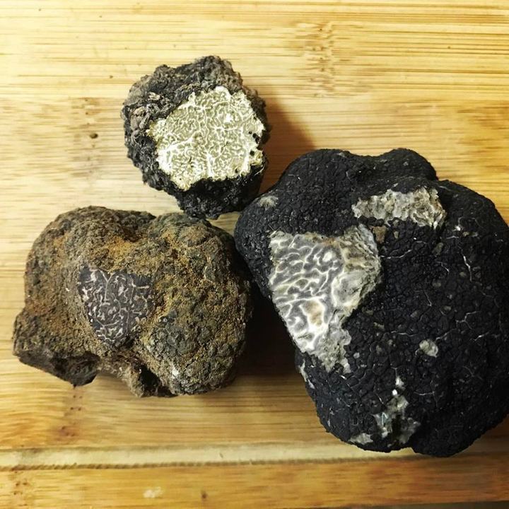 Tòfona negra tallada
