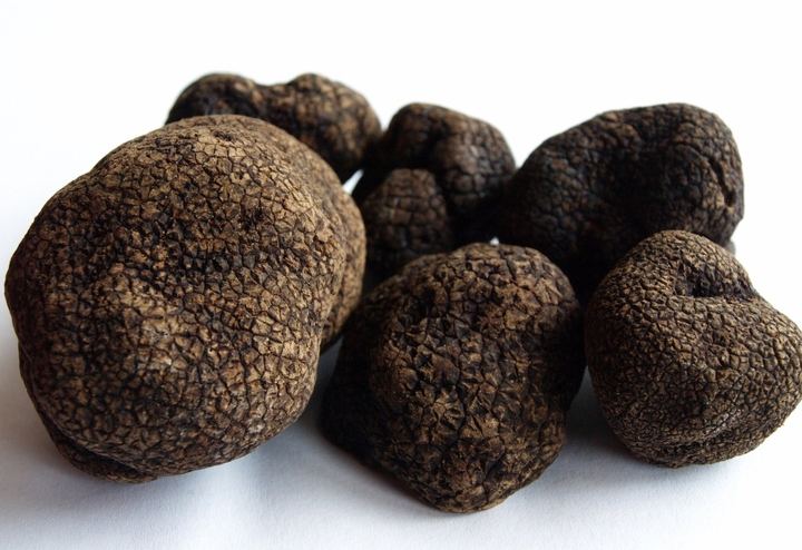 Trufa negra cortada con la gleba oscura y vetas blancas